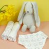 Childrens bunny toy, two muslins and muslin bib